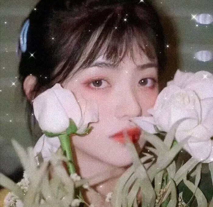 我和纽约超级皇后
