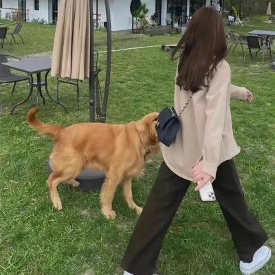夸世代夸啦啦粤语